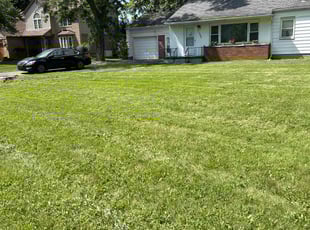 Peggy D.'s Yard Cutting service result
