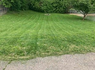 Laurie W.'s Lawn Care service result