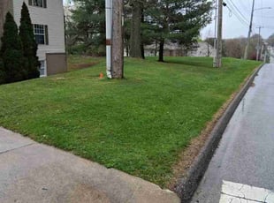 Aaron C.'s Lawn Mowing Service service result