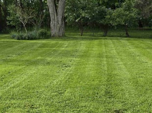 William R.'s Lawn Maintenance service result