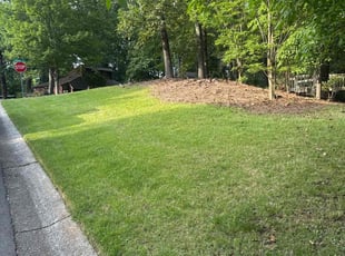 Leaf Removal by Fidel Umanzor for Willie T. in Marietta, GA