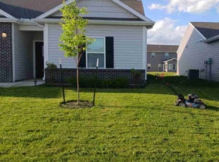 Patricia C.'s Yard Cutting service result