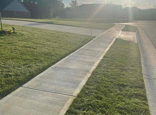 Abby C.'s Lawn Mowing Service service result