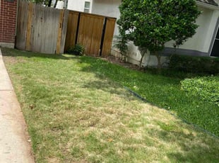 Leaf Removal by Chris Rivera for Shae O. in San Antonio, TX