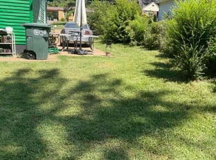 Mike M.'s Lawn Maintenance service result