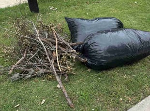 Leaf Removal by Rene Andrade for Charles S. in Austin, TX