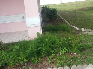 Bush Trimming by Yohan Torres for Julie S. in Auburndale, FL