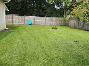 Anthony H.'s Lawn Mowing service result