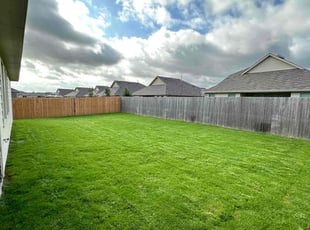 Curtis C.'s Grass Cutting service result