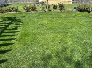 Brian H.'s Grass Cutting service result