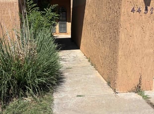 Bush Trimming by daeβonna johnson for Arik S. in Amarillo, TX