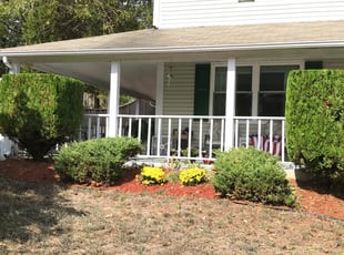 Bush Trimming by Elder E Larios for Velma L. in Clinton, MD