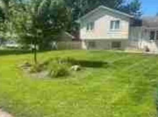 Sharifa O.'s Lawn Mowing service result
