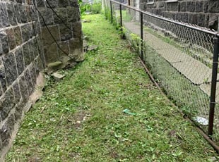 Tiffany M.'s Lawn Mowing service result