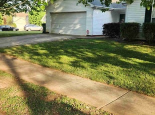 Olivia J.'s Lawn Service service result