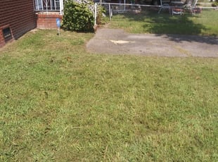 Bush Trimming by David Harris for Julia W. in Hampton, VA