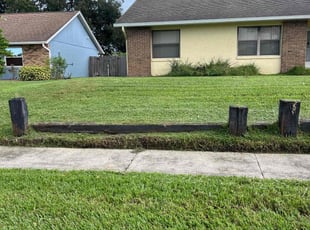 Benjamin M.'s Lawn Mowing service result