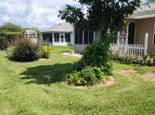 Tony F.'s Yard Cutting service result