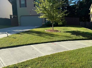 Nathan C.'s Grass Cutting service result