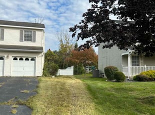 Cleanups by Troy Carroll for Ali K. in Rensselaer, NY