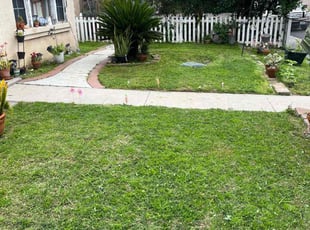 Wanzie P.'s Lawn Service service result