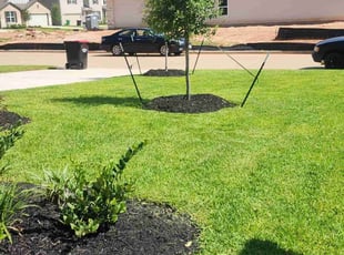 Heather H.'s Lawn Service service result
