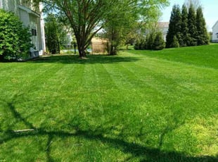 Rhiannon O.'s Lawn Care service result