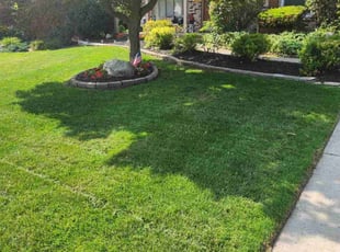 Morgan T.'s Lawn Care service result