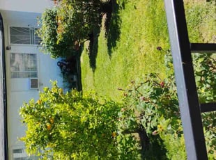 Tami J.'s Lawn Maintenance service result