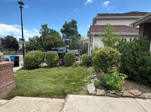 Bush Trimming by Jason Hernandez for Kellie B. in Littleton, CO