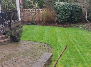 Greg H.'s Lawn Service service result