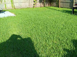 JESSE P.'s Yard Cutting service result
