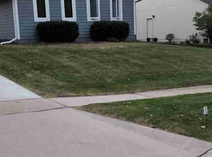 Tom J.'s Lawn Mowing service result