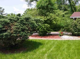 Bush Trimming by Christian Shoaf for Tonya P. in Indianapolis, IN