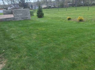 Mr. R.'s Lawn Maintenance service result