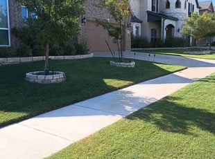 Anthony R.'s Yard Cutting service result
