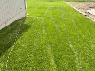 Mayzella W.'s Yard Cutting service result