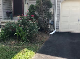 Bush Trimming by Robert Edwards for Carly T. in Wilmington, DE