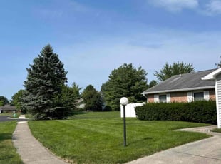Paul F.'s Lawn Mowing service result