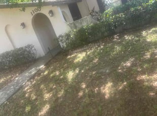 Bush Trimming by Markeith Whittaker for JOSE O. in Plantation, FL