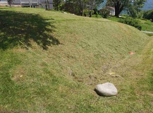 Stacy B.'s Lawn Mowing service result