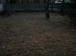Leaf Removal by Douglas Mullins for Gordon . in Yorktown, VA