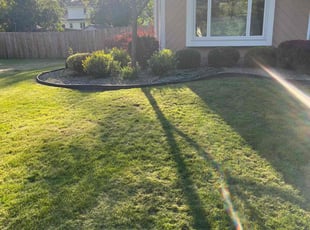 Shaqueda B.'s Lawn Mowing service result