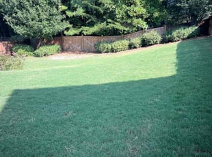 Mike T.'s Grass Cutting service result
