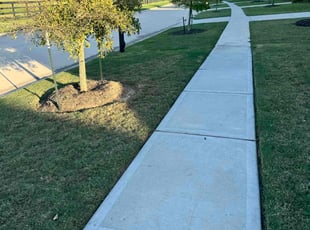 Weeding by Edwin Fernandez for Lex L. in Katy, TX