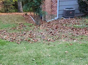 Bush Trimming by Vincent Guzman for David V. in Richmond, VA