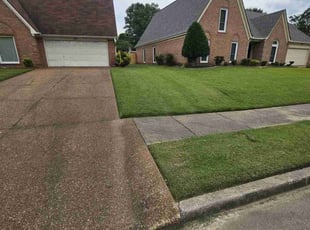 Annie F.'s Lawn Mowing service result