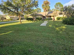 Vanessa O.'s Grass Cutting service result