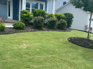 Weeding by Daniel Reyes for Sean M. in Pineville, NC