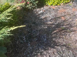 Weeding by Jeff Lipscomb for Lindsey M. in Edmond, OK